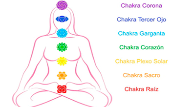 Carolina Ramos Macchiavello | Consejería Psicológica